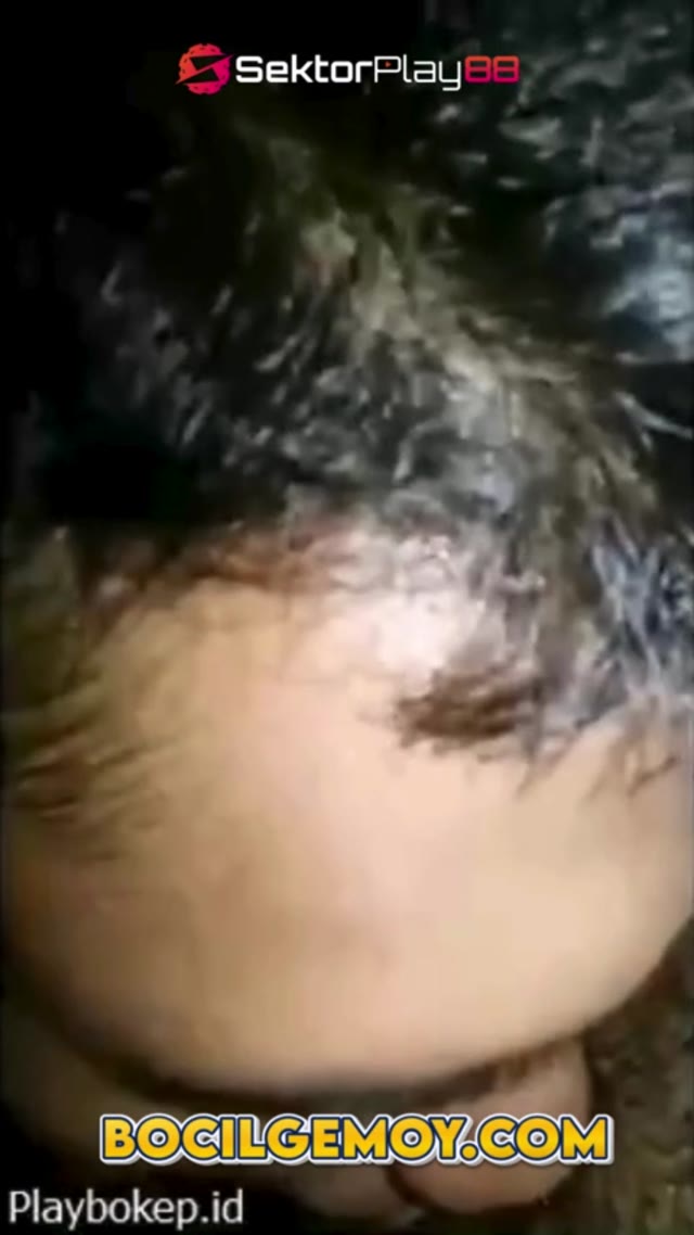 zgHpkIYF1